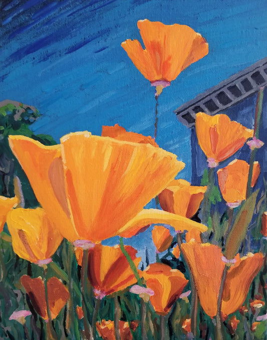 Duboce Poppies