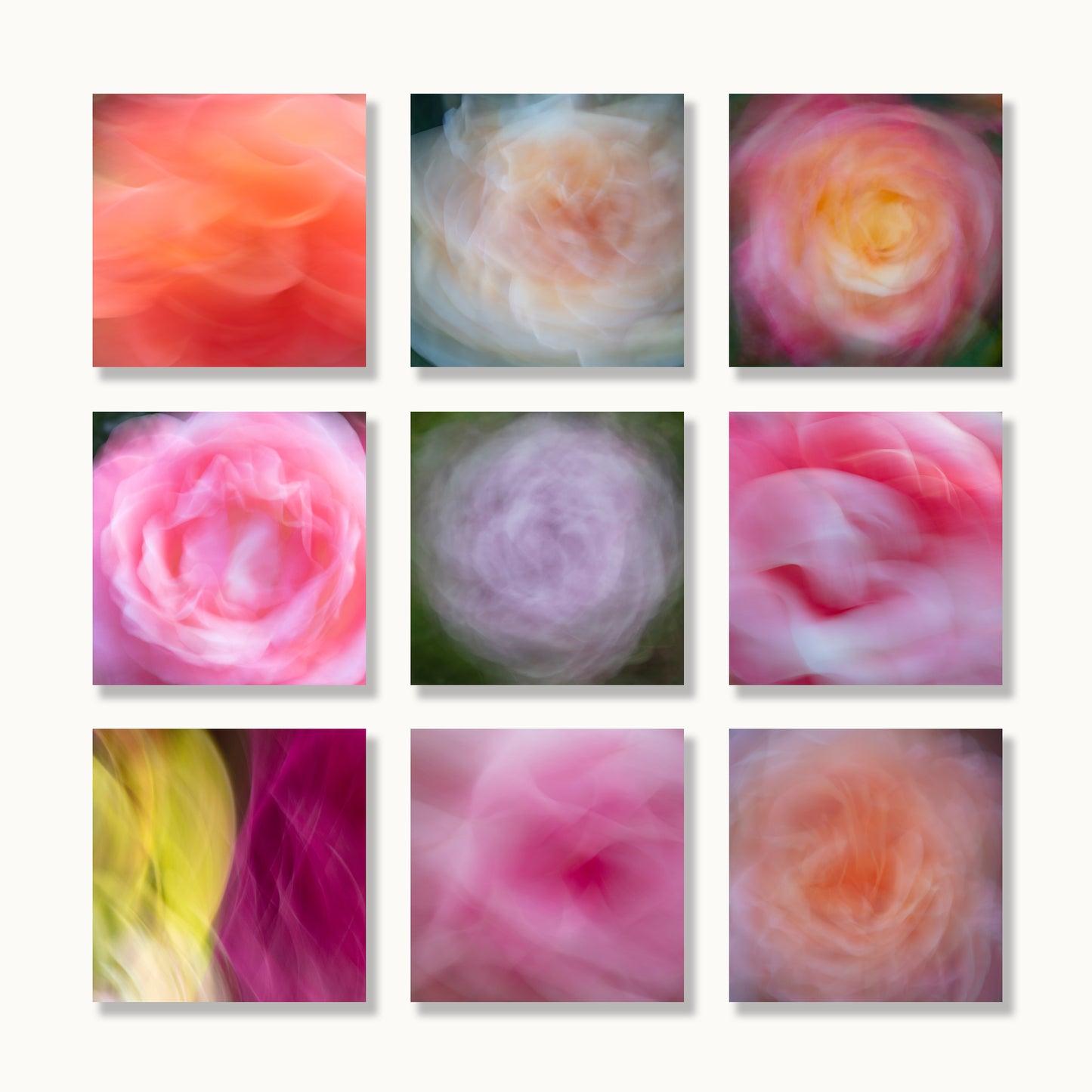 Linger - Berkeley Rose Garden